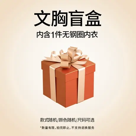 【拍2件39.9元】润微品牌文胸盲盒福袋款式随机（不退不换）图片