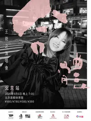合体-王菀之演唱会2025北京图片